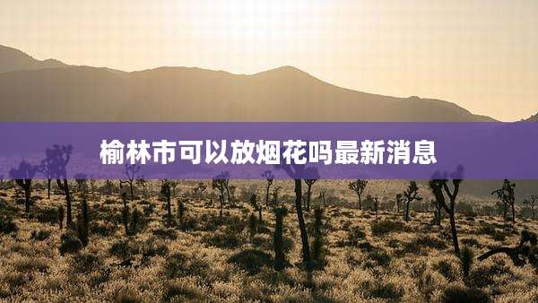 榆林市可以放烟花吗最新消息