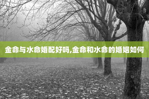 金命与水命婚配好吗,金命和水命的婚姻如何