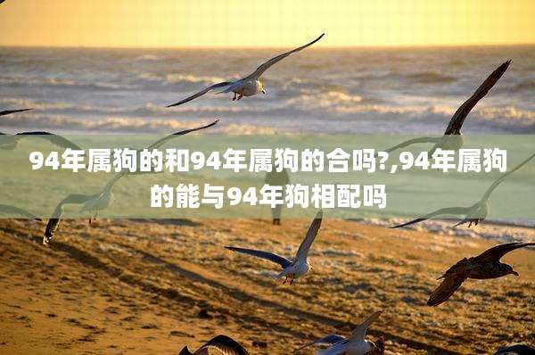 94年属狗的和94年属狗的合吗?,94年属狗的能与94年狗相配吗