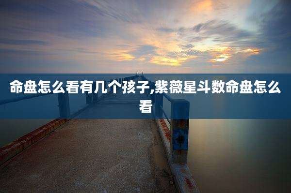 命盘怎么看有几个孩子,紫薇星斗数命盘怎么看