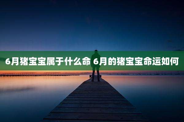 6月猪宝宝属于什么命 6月的猪宝宝命运如何