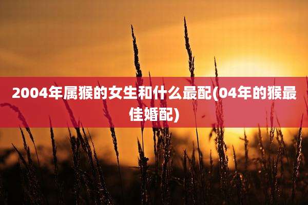 2004年属猴的女生和什么最配(04年的猴最佳婚配)