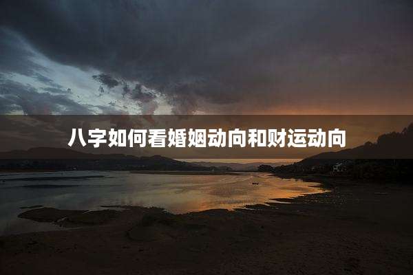 八字如何看婚姻动向和财运动向