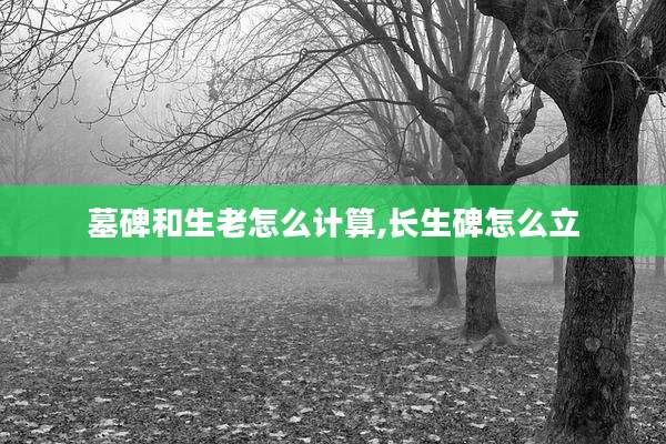 墓碑和生老怎么计算,长生碑怎么立