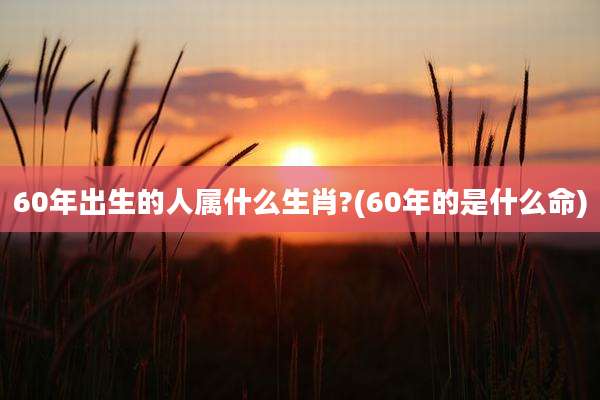60年出生的人属什么生肖?(60年的是什么命)