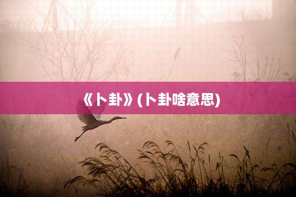 《卜卦》(卜卦啥意思)