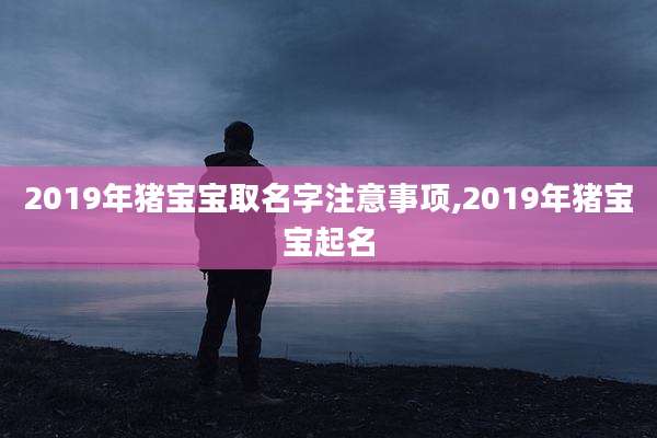 2019年猪宝宝取名字注意事项,2019年猪宝宝起名