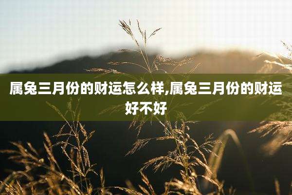 属兔三月份的财运怎么样,属兔三月份的财运好不好