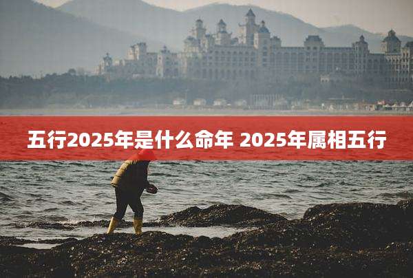 五行2025年是什么命年 2025年属相五行
