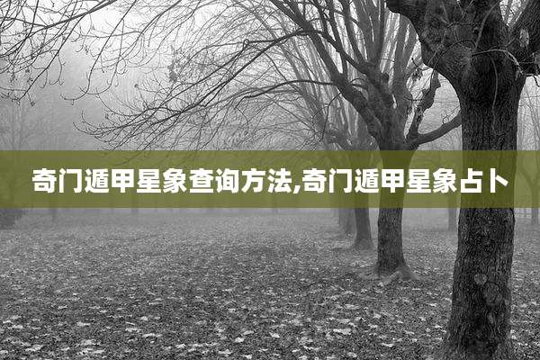 奇门遁甲星象查询方法,奇门遁甲星象占卜