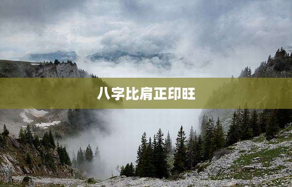 八字比肩正印旺
