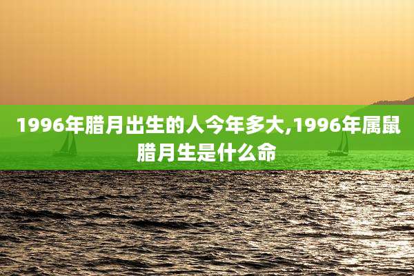 1996年腊月出生的人今年多大,1996年属鼠腊月生是什么命