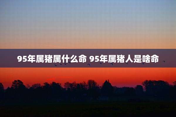 95年属猪属什么命 95年属猪人是啥命