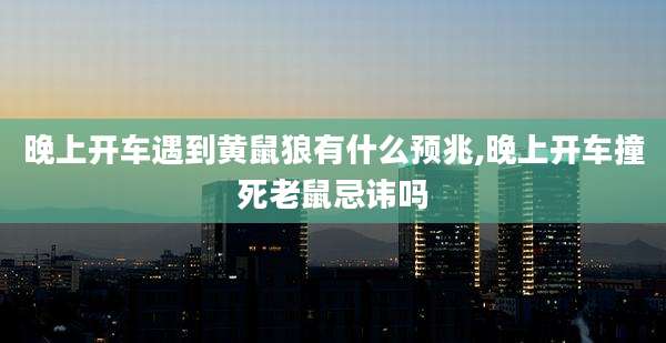 晚上开车遇到黄鼠狼有什么预兆,晚上开车撞死老鼠忌讳吗