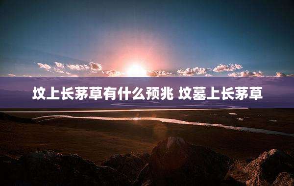 坟上长茅草有什么预兆 坟墓上长茅草