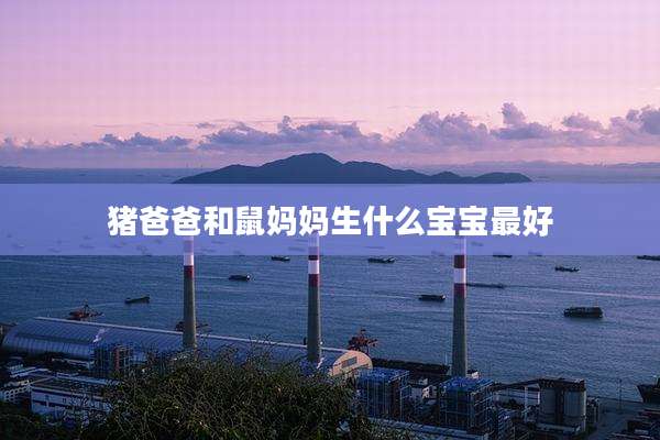 猪爸爸和鼠妈妈生什么宝宝最好