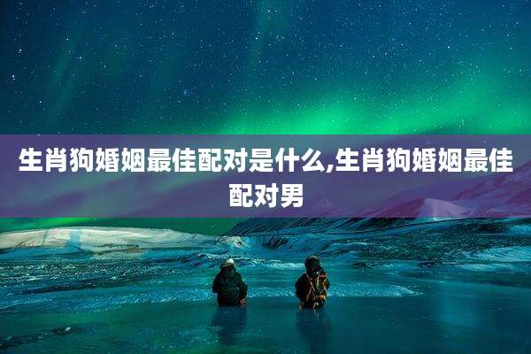 生肖狗婚姻最佳配对是什么,生肖狗婚姻最佳配对男