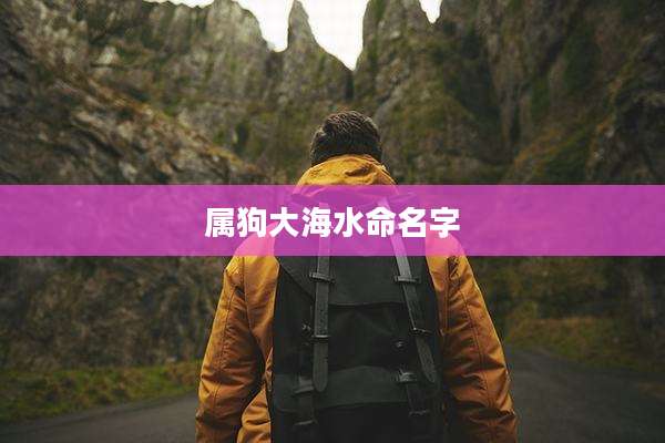 属狗大海水命名字