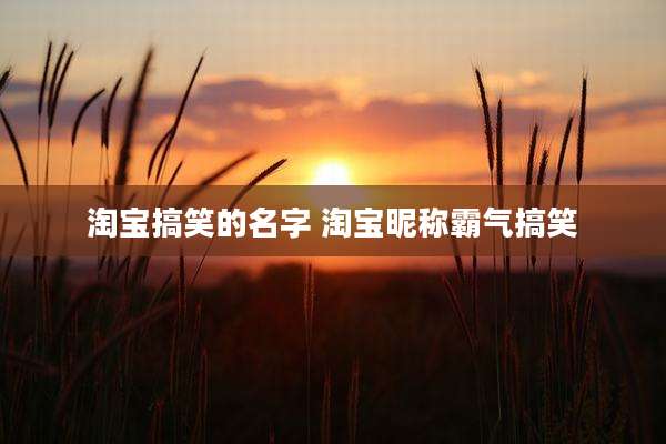 淘宝搞笑的名字 淘宝昵称霸气搞笑