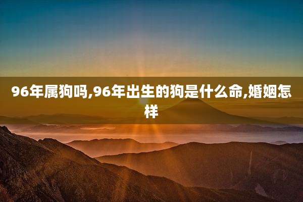 96年属狗吗,96年出生的狗是什么命,婚姻怎样