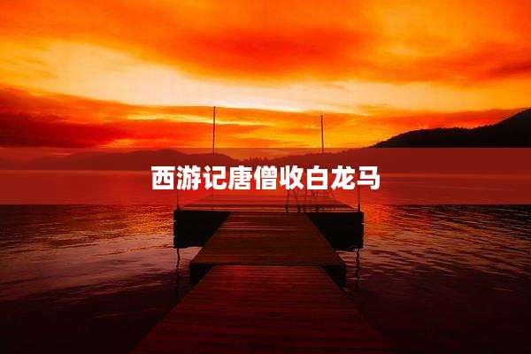 西游记唐僧收白龙马