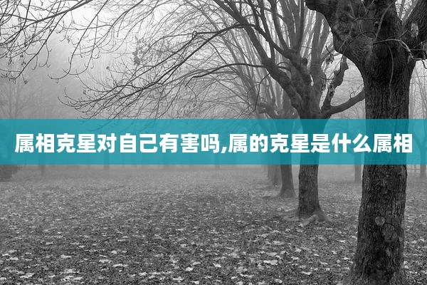 属相克星对自己有害吗,属的克星是什么属相
