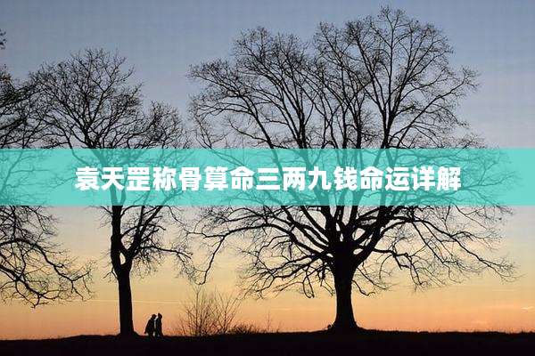 袁天罡称骨算命三两九钱命运详解