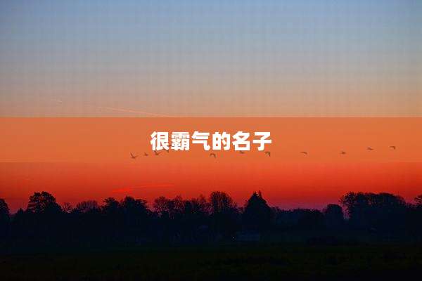 很霸气的名子