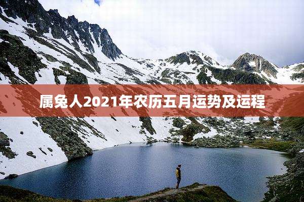 属兔人2021年农历五月运势及运程