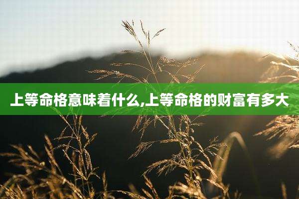 上等命格意味着什么,上等命格的财富有多大