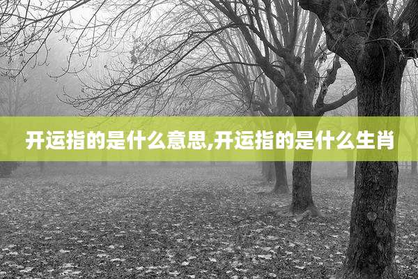 开运指的是什么意思,开运指的是什么生肖