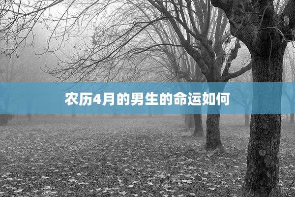 农历4月的男生的命运如何