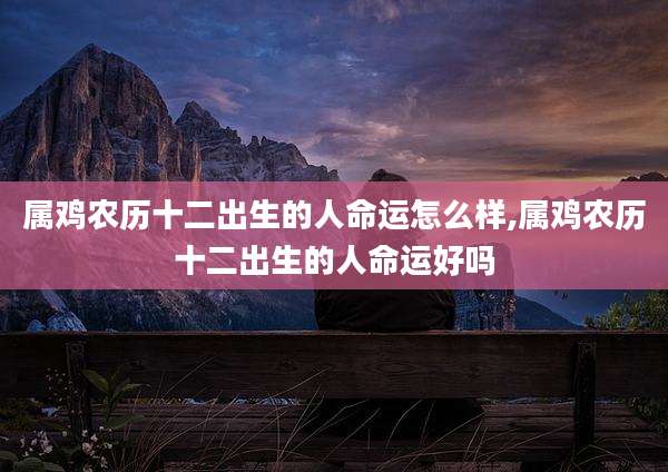 属鸡农历十二出生的人命运怎么样,属鸡农历十二出生的人命运好吗