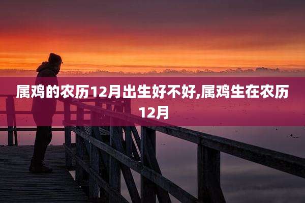 属鸡的农历12月出生好不好,属鸡生在农历12月