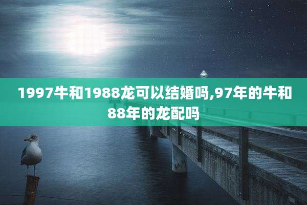1997牛和1988龙可以结婚吗,97年的牛和88年的龙配吗