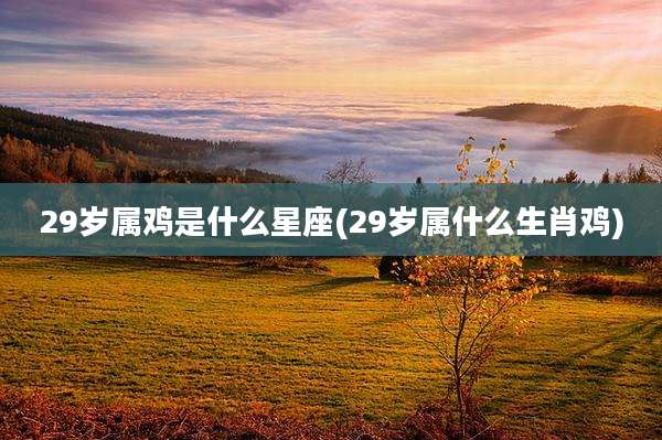 29岁属鸡是什么星座(29岁属什么生肖鸡)