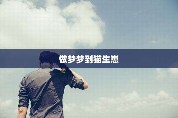做梦梦到猫生崽