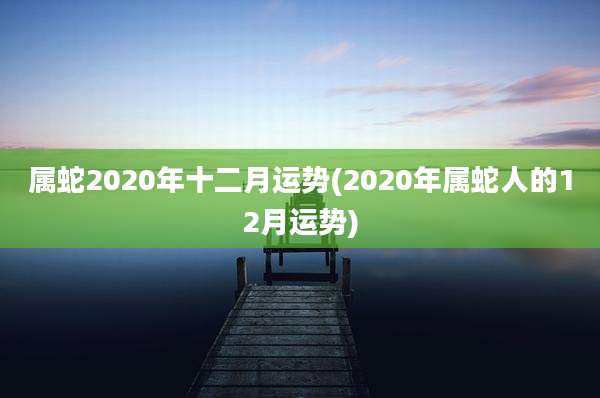 属蛇2020年十二月运势(2020年属蛇人的12月运势)