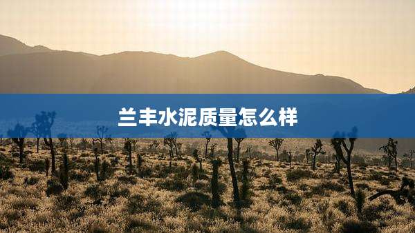 兰丰水泥质量怎么样