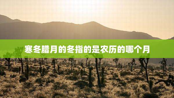 寒冬腊月的冬指的是农历的哪个月