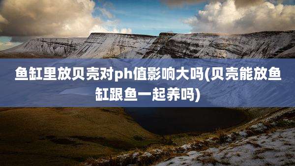 鱼缸里放贝壳对ph值影响大吗(贝壳能放鱼缸跟鱼一起养吗)