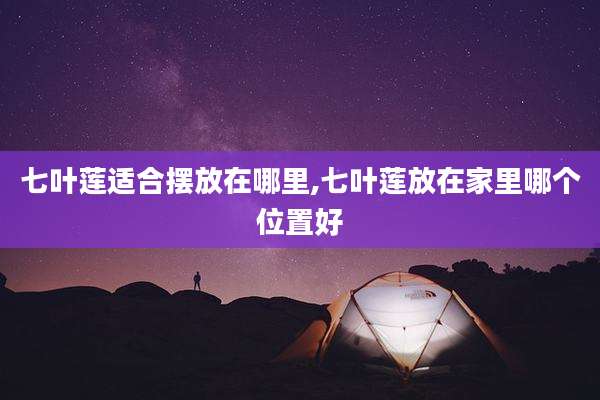 七叶莲适合摆放在哪里,七叶莲放在家里哪个位置好