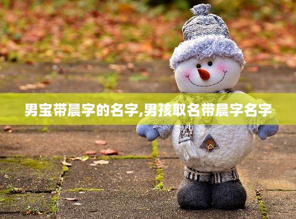 男宝带晨字的名字,男孩取名带晨字名字