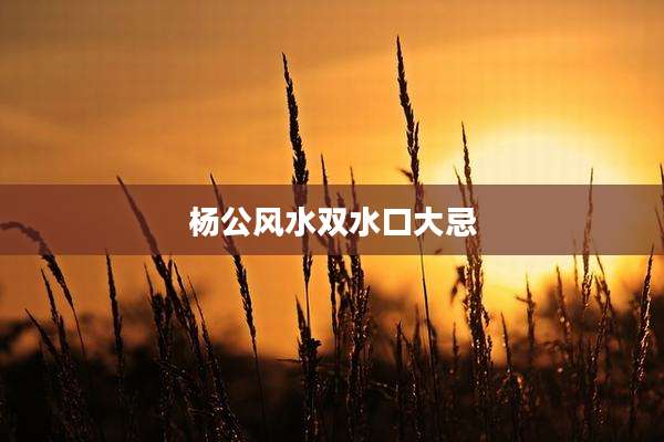杨公风水双水口大忌