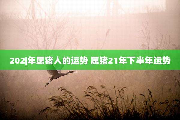 202|年属猪人的运势 属猪21年下半年运势