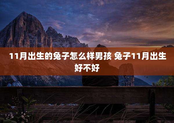 11月出生的兔子怎么样男孩 兔子11月出生好不好
