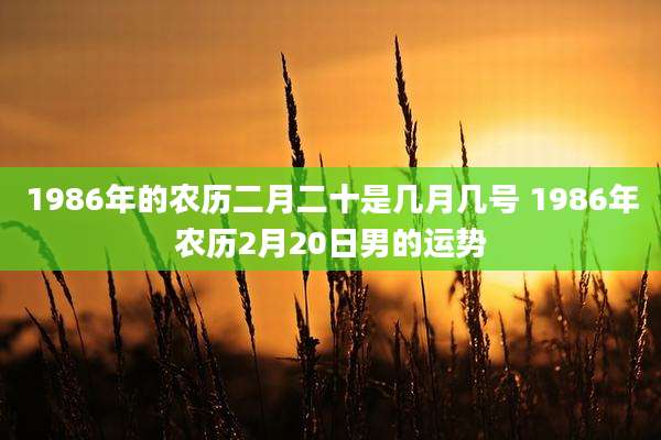 1986年的农历二月二十是几月几号 1986年农历2月20日男的运势