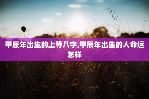 甲辰年出生的上等八字,甲辰年出生的人命运怎样
