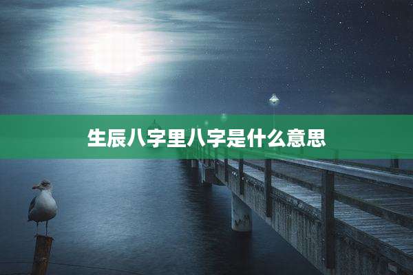 生辰八字里八字是什么意思