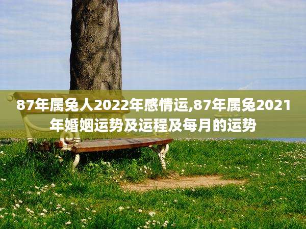 87年属兔人2022年感情运,87年属兔2021年婚姻运势及运程及每月的运势